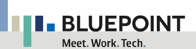 bluepoint-logo